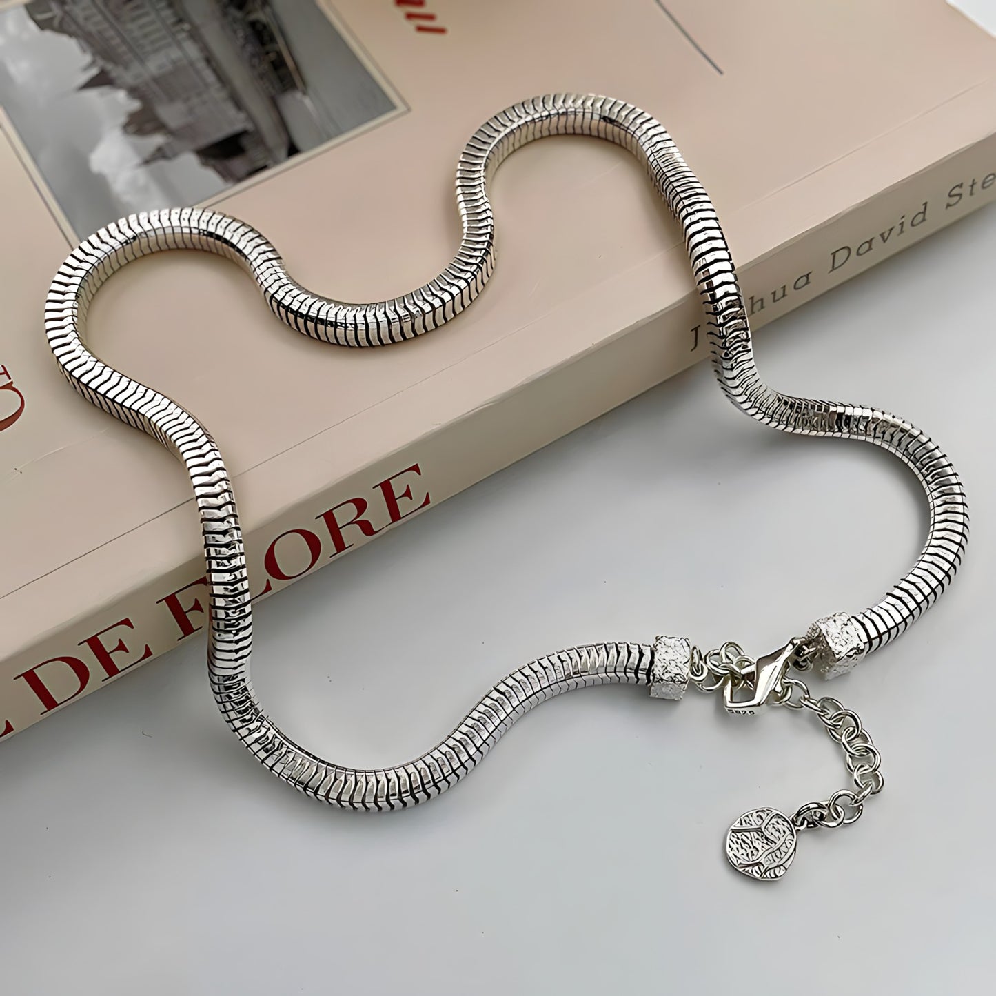 Collar de Plata 925 - Zaxy